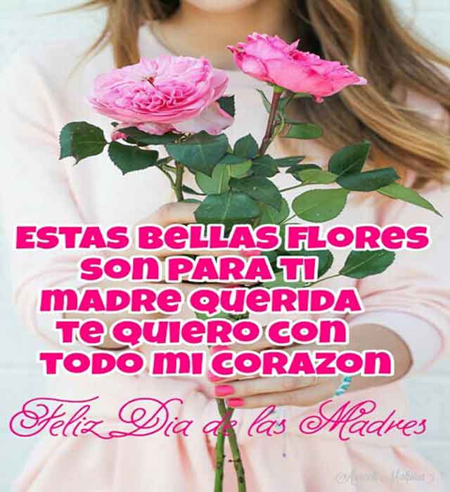 Feliz Día de la Madre » Feliz Día de la Madre Imágenes y Frases